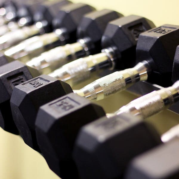 Fitness et Exercice category