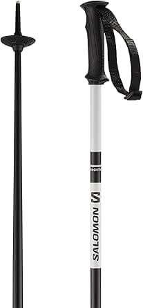 Alpine Skis subcategory