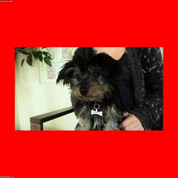 Flea, Tick & Worming subcategory