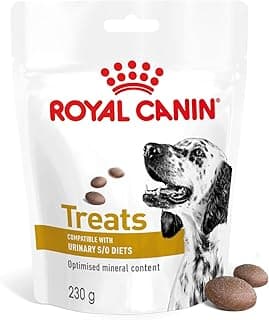Friandises & jouets dentaires pour chien subcategory