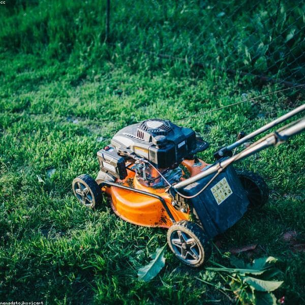 Cordless Battery Lawn Mowers subcategory