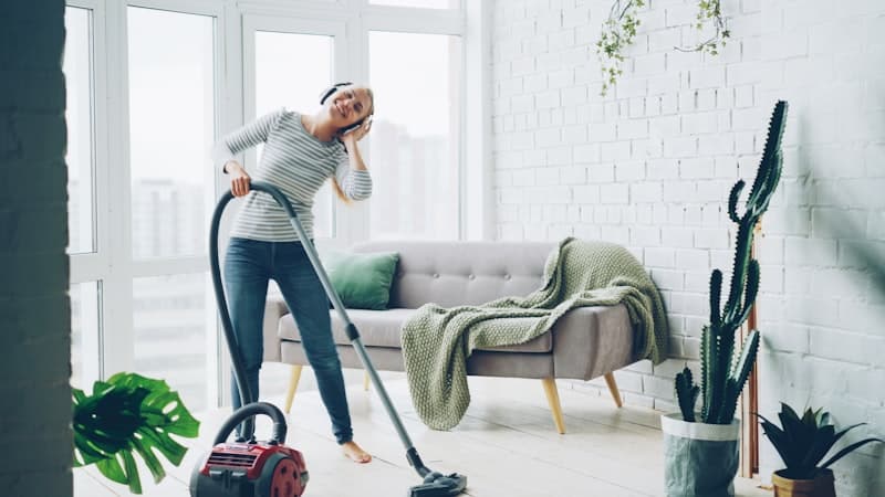 Steam Cleaners subcategory