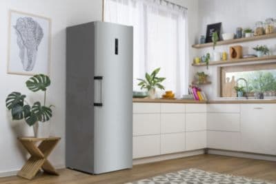 Réfrigérateur 1 porte GORENJE R619DAXL6 - Image 3