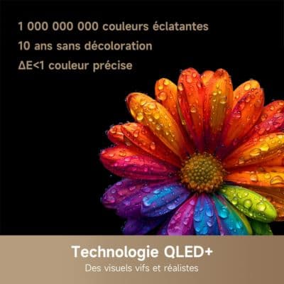 TV QLED DREAME 55Q100 - Image 3