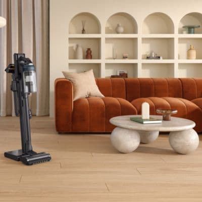 Aspirateur balai SAMSUNG Jet 95 Pet 2 Batteries VS20C95D2TK - Image 4