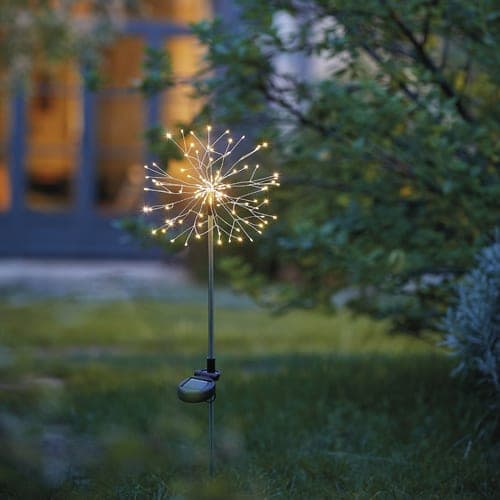 Fleur de pissenlit solaire à planter - Image 2