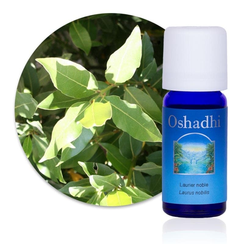 Oshadhi Huile essentielle laurier noble bio
