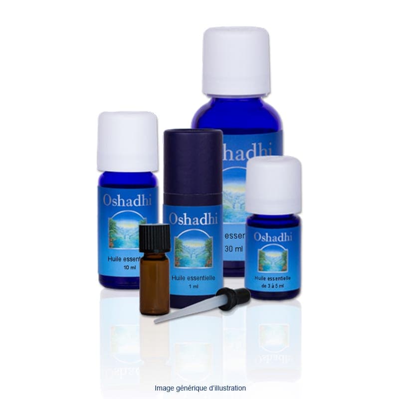 Oshadhi Huile essentielle romarin à camphre bio