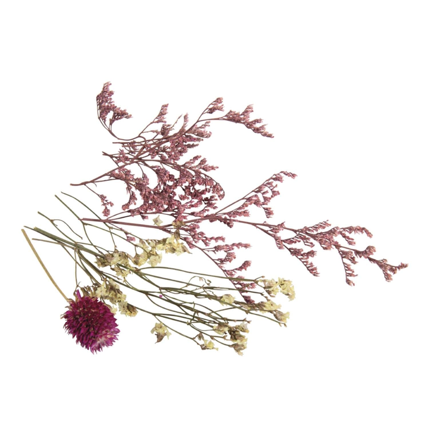 Bouquet de minis fleurs séchées roses - Image 6
