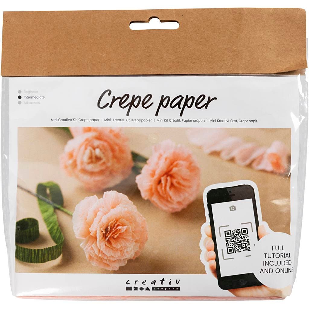 Mini kit DIY fleurs en papier crépon - Oeillets - Image 6