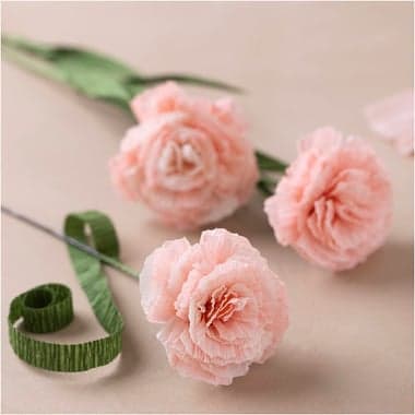Mini kit DIY fleurs en papier crépon - Oeillets - Image 5