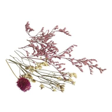 Bouquet de minis fleurs séchées roses - Image 1