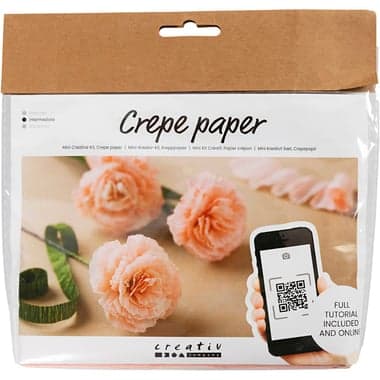 Mini kit DIY fleurs en papier crépon - Oeillets - Image 1