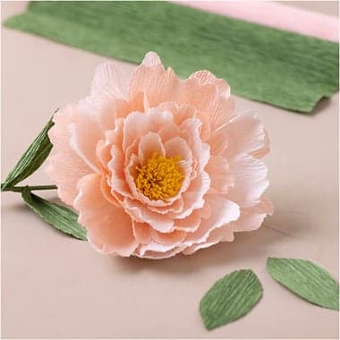 Mini kit DIY fleurs en papier crépon - Pivoine - Image 5