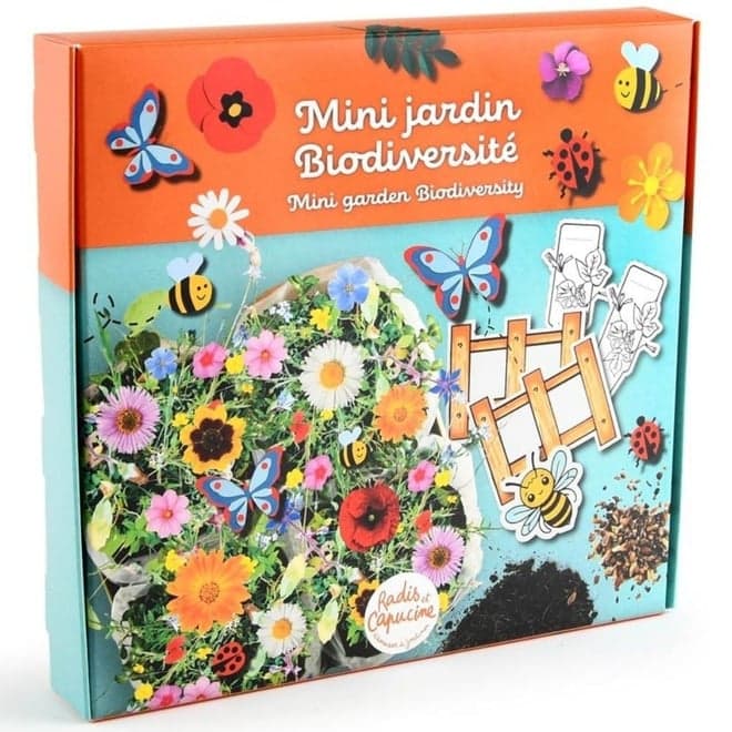Mini jardin fleurs de biodiversité - Image 2