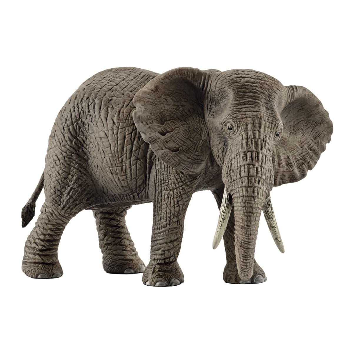 Schleich - Figura Elefante africano hembra Schleich.