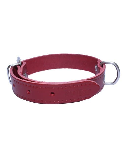 San Dimas - Collar San Dimas para perros pequeños cuero liso.