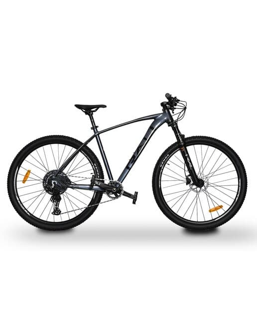 Rali - Bicicleta de montaña ADV-0 29'' Rali.