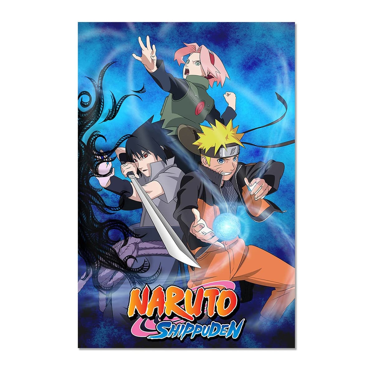 Grupo Erik - Póster Naruto Shippuden Erik.