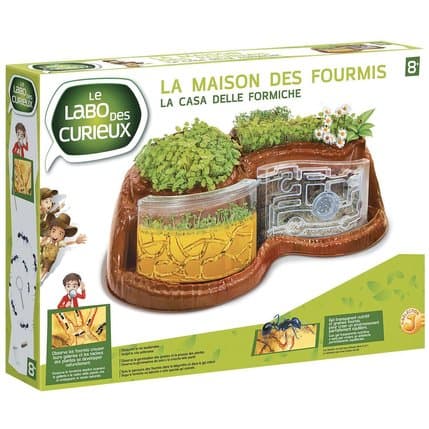 LA MAISON DES FOURMIS - Image 2
