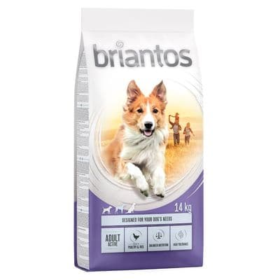 Eukanuba Premium Nutrition Adult Medium Breed pollo - Image 9