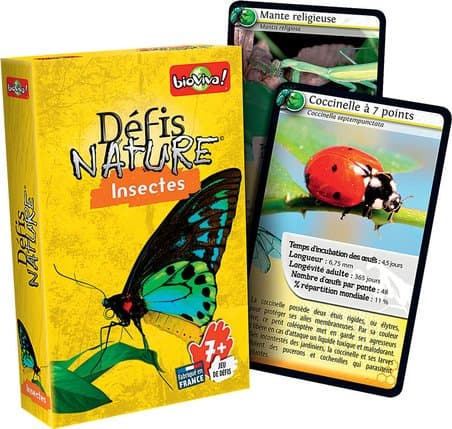 DEFIS NATURE - LES INSECTES - Image 2