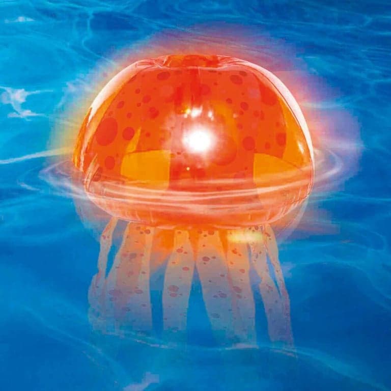 MEDUSE LUMINEUSE - Image 2
