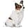 Royal Canin X-SMALL Puppy | 1.5 kg | Kibble for Very Small Breeds | May Contribute to Normal Immune System Function | With Omega-3 - Image 7