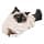 Royal Canin - Intense Hairball 34 / Hair Ball Removal - Bag of 400 g - Image 7