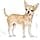 Royal Canin Chihuahua Adult | 1.5 kg | Dry Food for Chihuahuas Adults | To Support Stool Quality & Dental Health | High Acceptance - Image 6