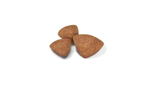 Royal Canin X-SMALL Puppy | 500 g | Kibble for Very Small Breeds | May Contribute to Normal Immune System Function | With Omega-3 - Image 4