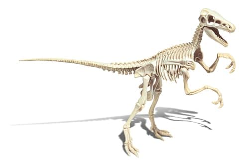 Clementoni | Archéo Ludic – Velociraptor 7+ | Dinosaur Educational Toy with Scientific Digging Kit | Luminous Skeleton to Rebuild | Child Paleontology Christmas Birthday Gift - Image 3