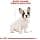 Royal Canin French Bulldog Junior 10 kg - Image 4