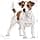 Royal Canin Mini Adult | 800 g | Complete food for small breed dogs | Omega-3 fatty acids for skin and coat | Adjusted energy content and suitable kibble size - Image 5