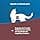 VL Cat HEPATIC b/85 GR Food FARMINA - Image 4