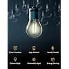 Meross Smart LED Bulb, E27 Smart Edison Filament Bulb Compatible with Apple HomeKit, Alexa and Google Home, 810LM WiFi Dimmable Bulb 2700K Warm White 2700K (Equivalent 60W) - Image 4