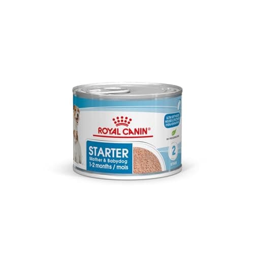 Royal Canin Mother & Babydog Starter Mousse | 12 x 195 g | Ultra Soft Foam Wet Food | for Dogs at the Last Third of Gestation and During the Breastfeeding Period - Image 2