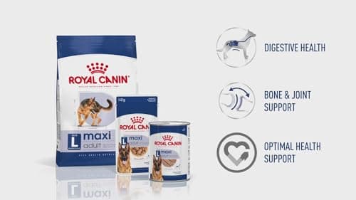 Royal Canin - Nourriture pour chien adulte - 4 kg - Image 4