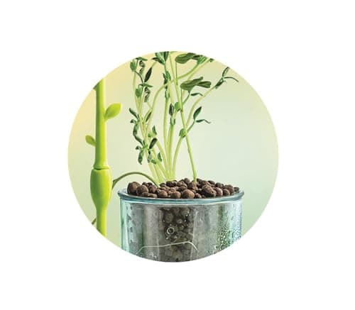 Clementoni | Science & Game: Mini Greenhouse – Botanical Kit for Children 7 Years+ | Assembling Greenhouse with Pots, Peat, Seed | Scientific Educational Game to Discover Botany | Gift Idea - Image 8