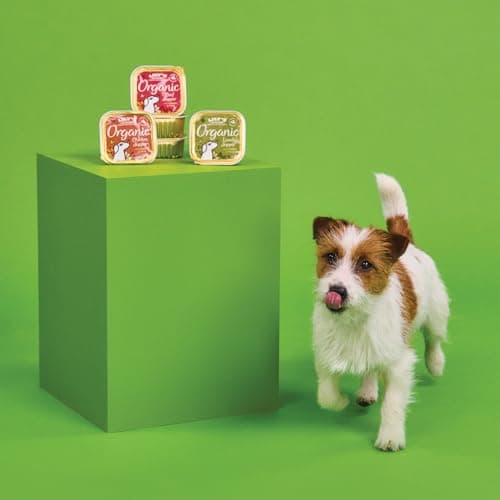 Lily's Kitchen Made from natural ingredients Wet Food Tray for Adult Dogs Organic Beef 11 x 150 g - Image 4