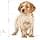 Royal Canin for puppy, 1 kg - Image 5
