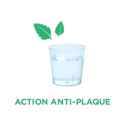 Mouthwash Maintenance GUM GINGIDEX 0.06% | Gum Care | Dual Anti-Plaque Action | Soothes Sensitive Gums | Alcohol Free | 12 x 300 cm - Image 6