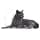Royal Canin Regular Sterilized 7+ | 400 g | Complete Food for Sterilized Cats | Can Help Support Kidney and Urinary Function - Image 6