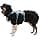 Ruffwear Web Master Dog Harness with Handle and Improved Buckle, Adjustable and Lightweight for Walking and Hiking, Anti-Leak, No Pull, Breathable and Comfortable, Basalt Grey, M - Image 6