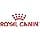 Royal Canin CCN Sterilised Mini | 3 kg | Complete Food for Small Dogs | for Adult and Castrated Dogs with a Tendency to Gain Weight | Dry Food - Image 3