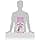 Royal Canin - Kitten Sterilized From 6 Months - Bag of 2 kg (1 Pack) - Image 7