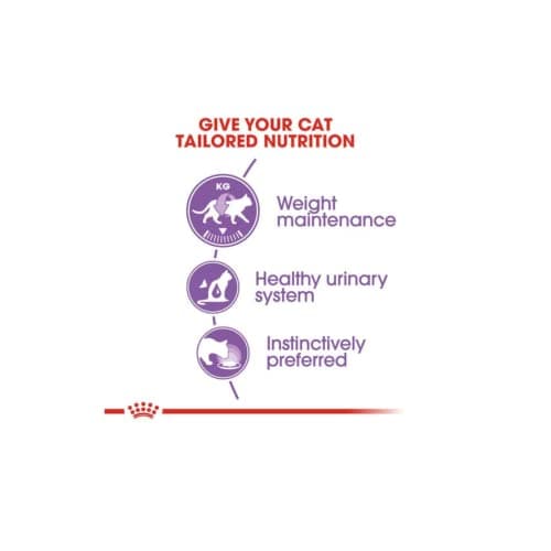 Royal Canin Feline Sterilised | Double Pack | 2 x 12 x 85 g | Complete Food for Adult Castrated Cats | Small Pieces in Jelly | From 12 Months - Image 9