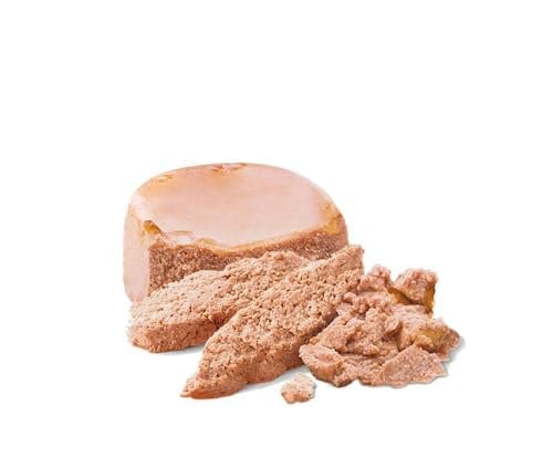 Royal Canin Mother & Babydog Starter Mousse | 12 x 195 g | Ultra Soft Foam Wet Food | for Dogs at the Last Third of Gestation and During the Breastfeeding Period - Image 4