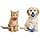 Lot de 2 Balle Interactive pour Chien et Chat, Jouet Dentaire en Caoutchouc Naturel avec Distributeur de Friandises, Nettoyage des Dents pour Chiot et Chaton, - Image 7