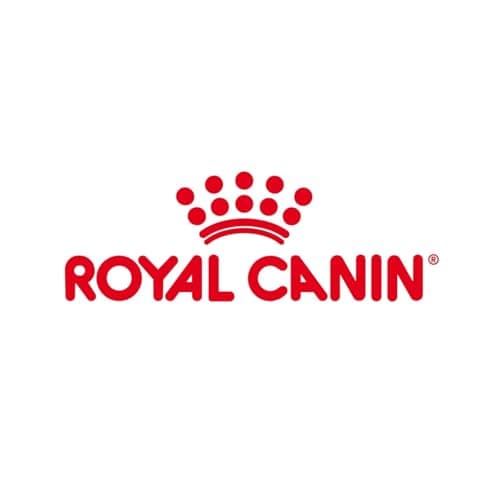 Royal Canin Veterinary Hypoallergenic Treats | Pack de 3 | 3 x 230 g | Snacks pour Chiens Adultes de Toutes Tailles & Races | Sachet refermable | Protéines hydrolysées - Image 4